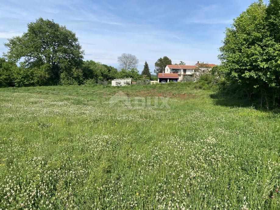 Terreno Šajini, Barban, 2.216m2