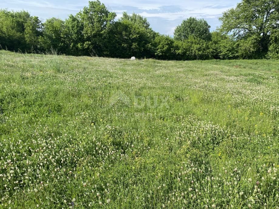 Terreno Šajini, Barban, 2.216m2