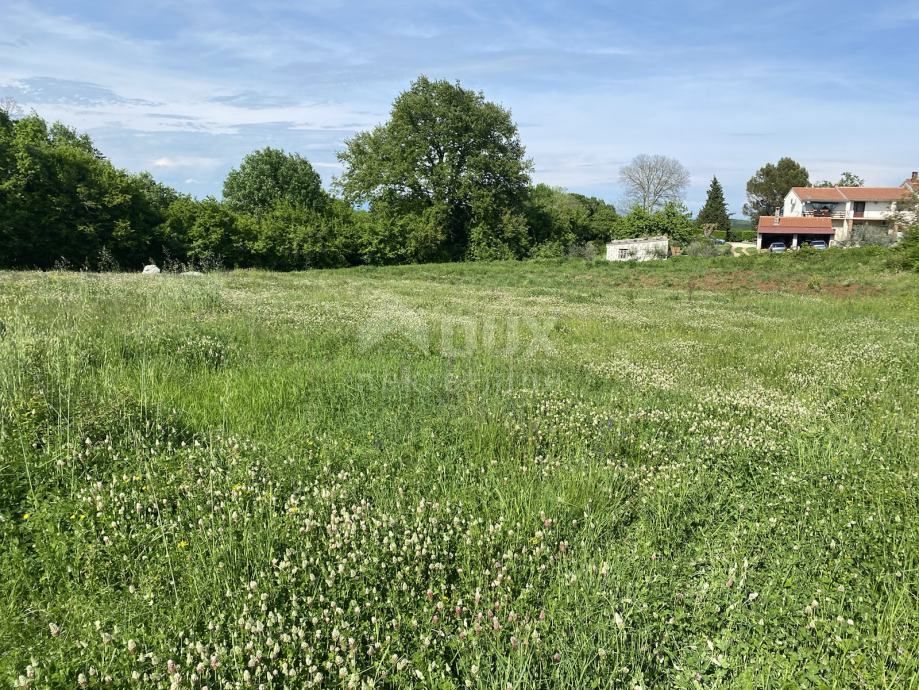 Terreno Šajini, Barban, 2.216m2