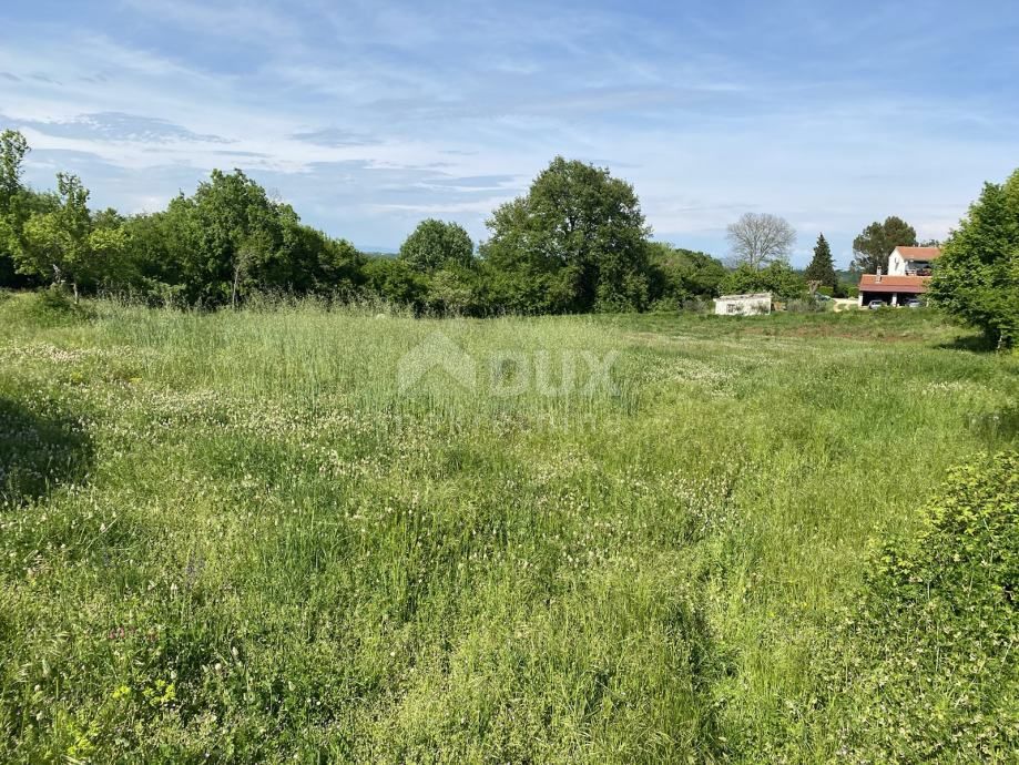 Terreno Šajini, Barban, 2.216m2