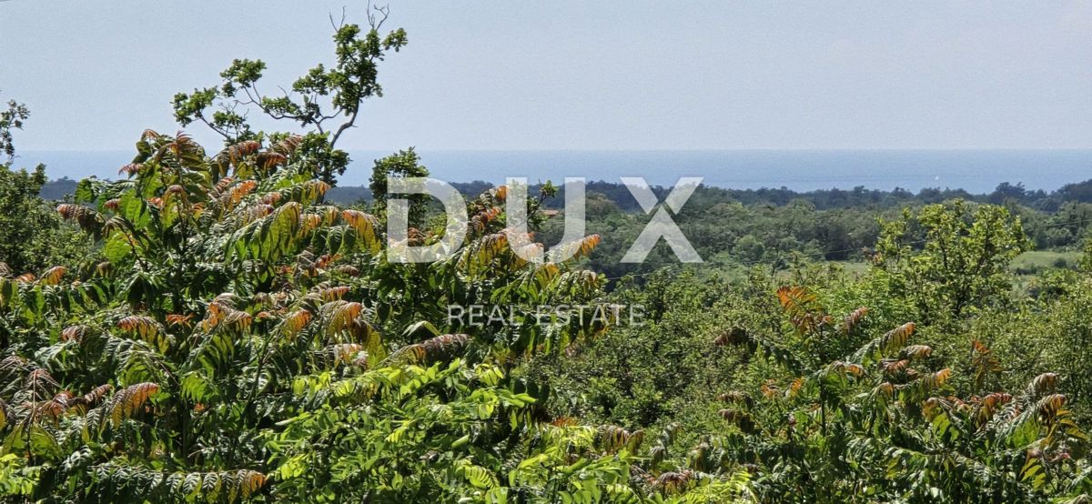 ISTRIA, BUJE - Terreno edificabile con permesso per due ville con piscina, bellissima vista mare