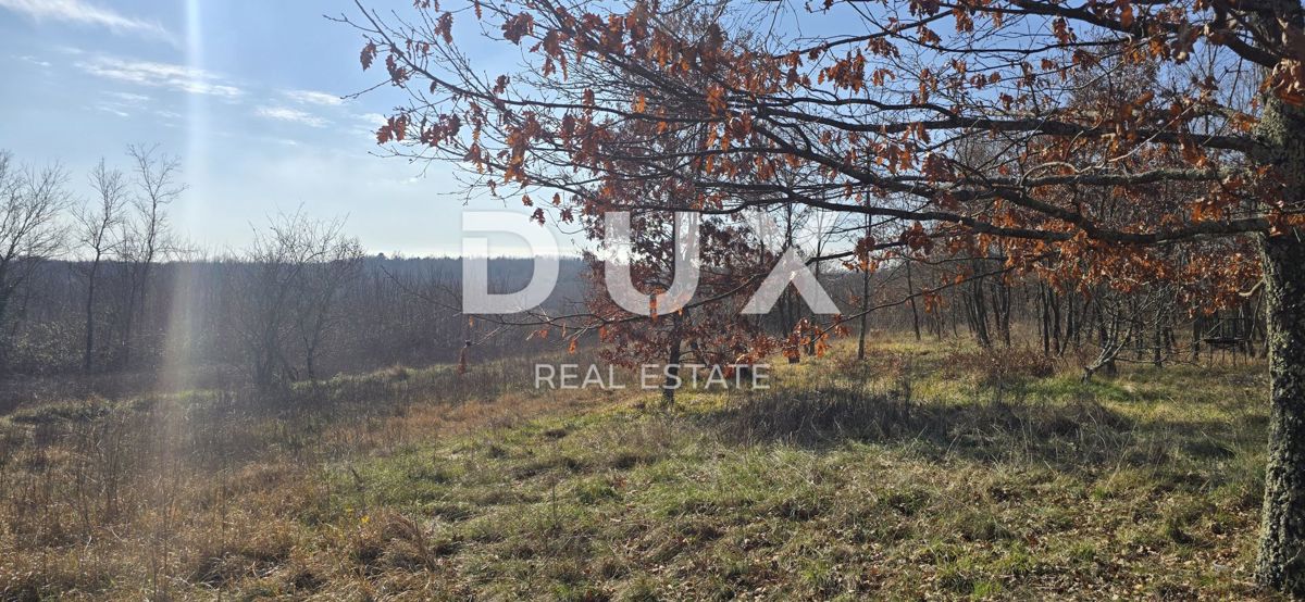 ISTRIA, PAZIN - Terreno edificabile, privacy assoluta