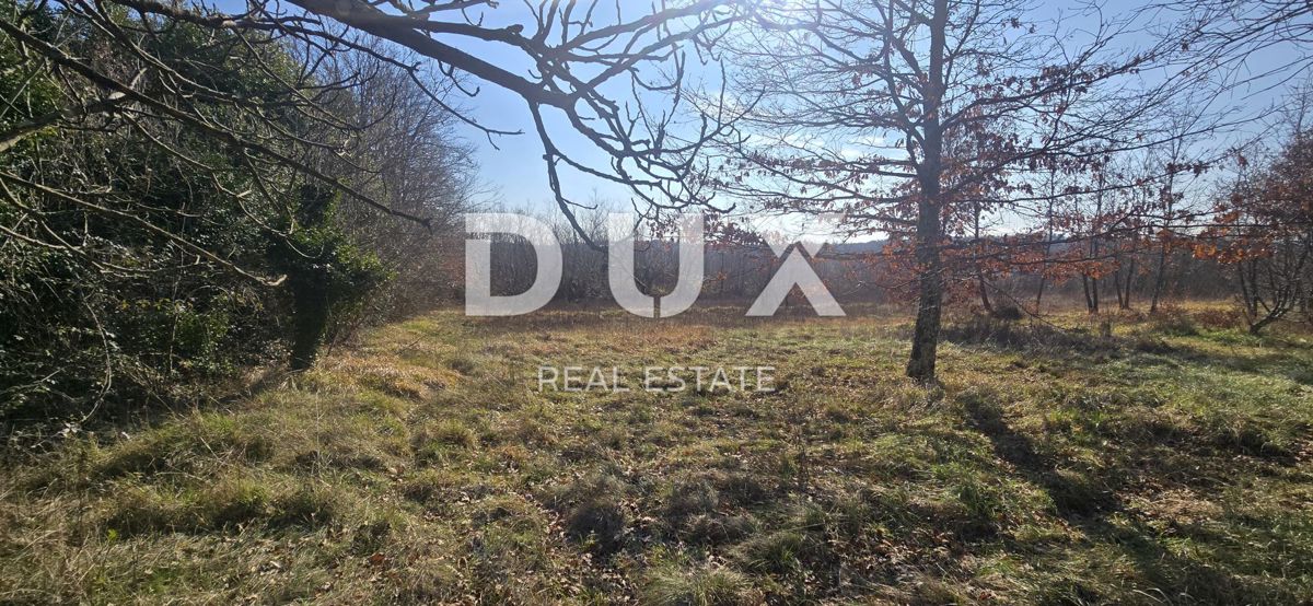ISTRIA, PAZIN - Terreno edificabile, privacy assoluta