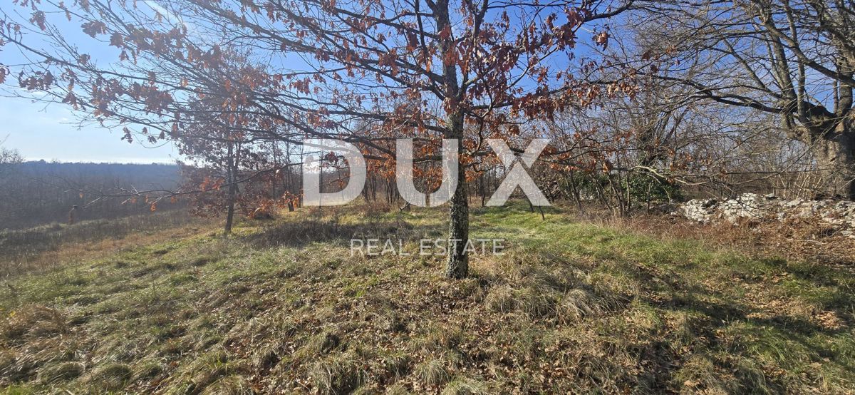 ISTRIA, PAZIN - Terreno edificabile, privacy assoluta