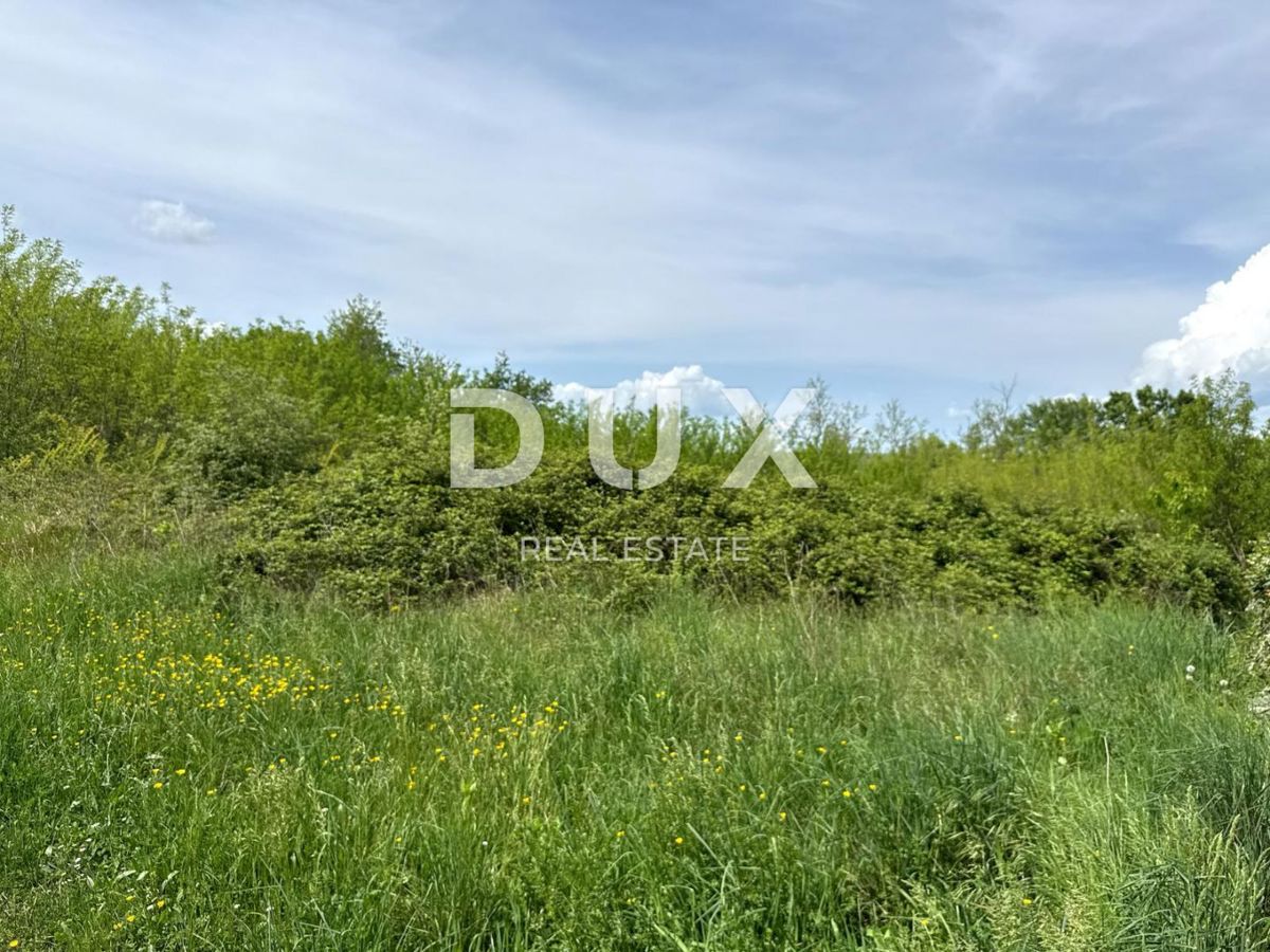 ISTRIA,ALBONA - Terreno edificabile immerso nella natura