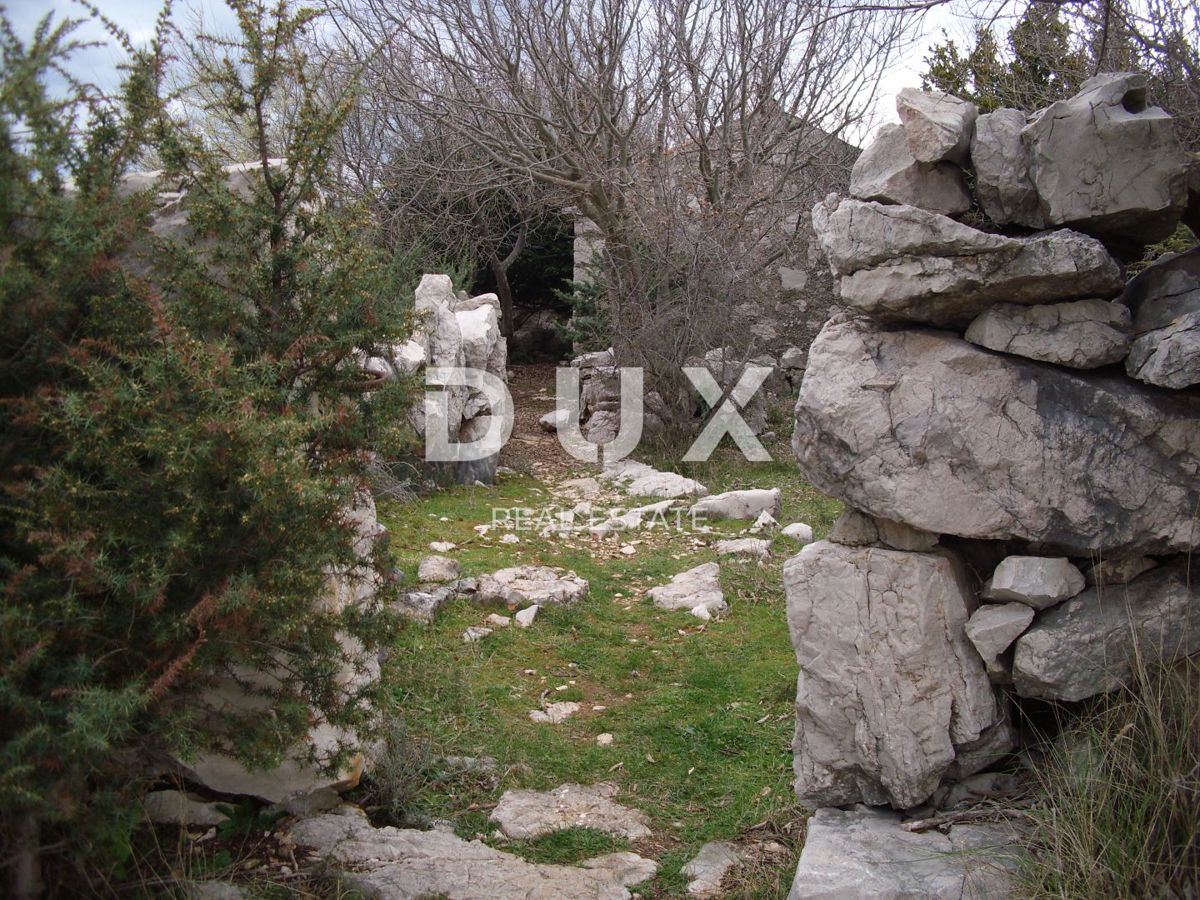 ISOLA DI KRK - Casa in pietra in posizione isolata a 250 m dal mare