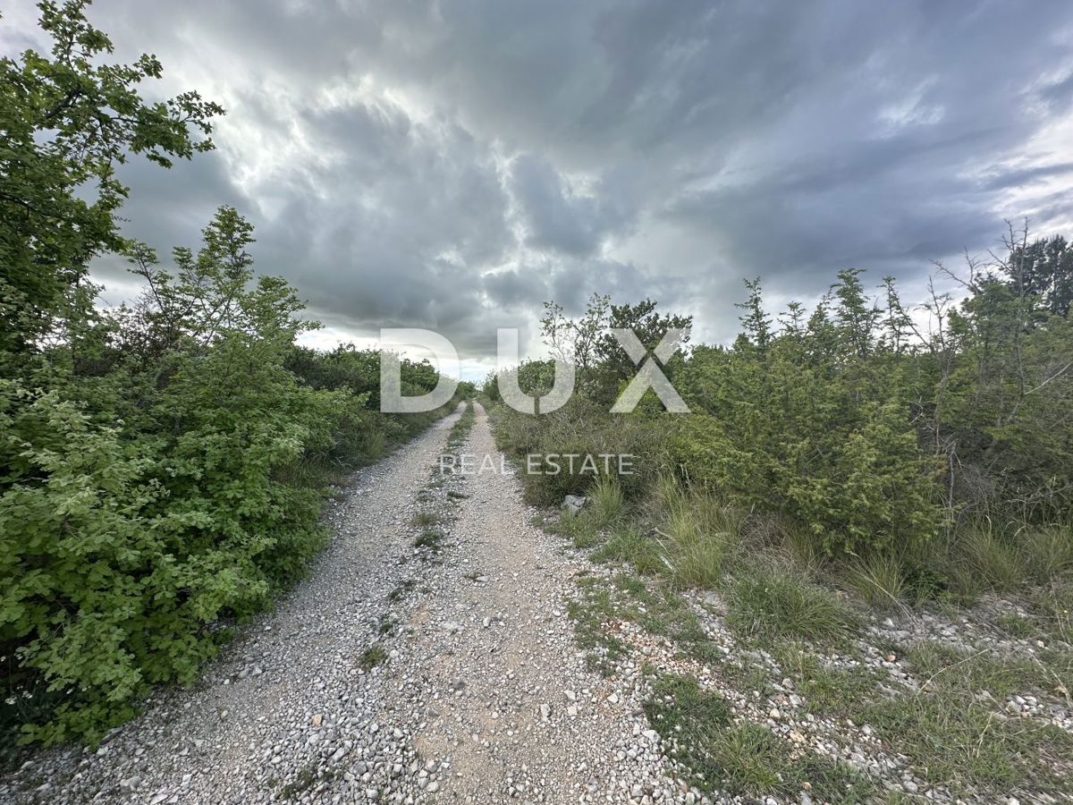 BRIŠEVO, MAZIJA - Terreno agricolo (foresta) - 8000 m²