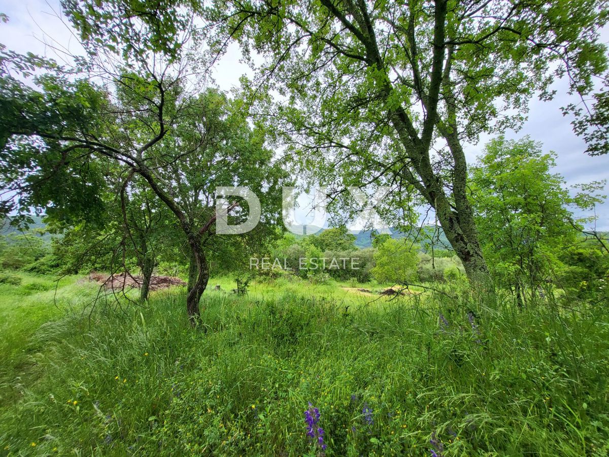 ISTRIA, PINGUENTE - Casa in pietra da ristrutturare con ampio terreno edificabile