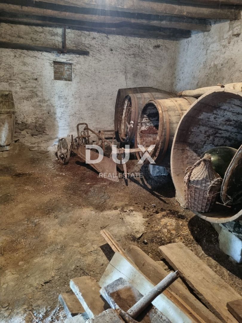 ISTRIA, PINGUENTE - Casa in pietra da ristrutturare con ampio terreno edificabile
