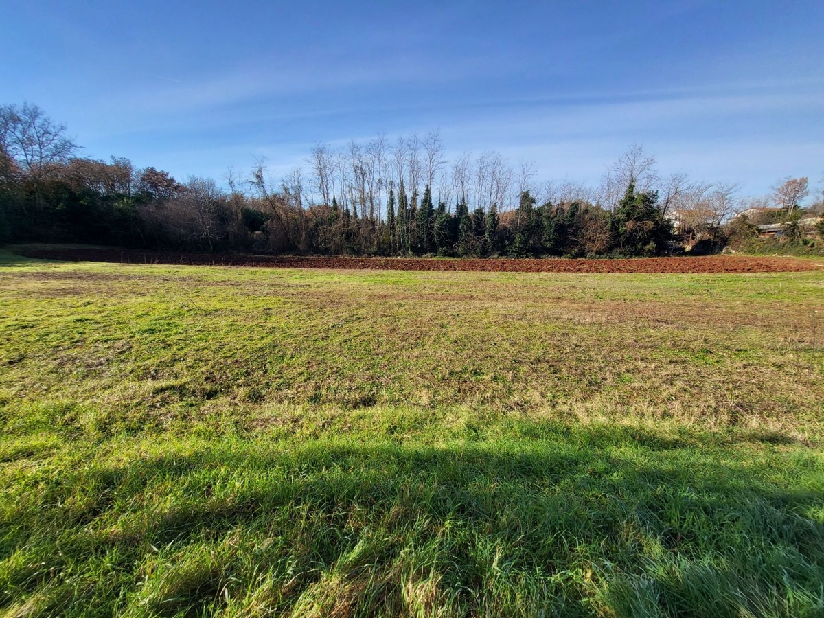 Terreno Umag, 773m2