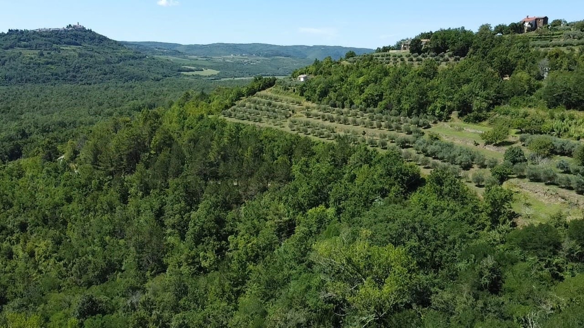 ISTRIA, MOTOVUN - Una fiaba di pietra nella natura! RARITÀ!