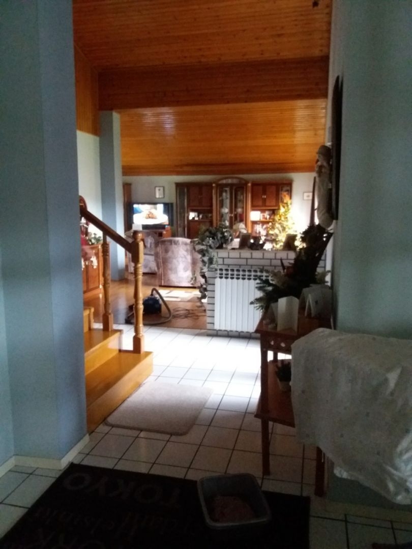 Casa Milanovac, Virovitica, 320m2