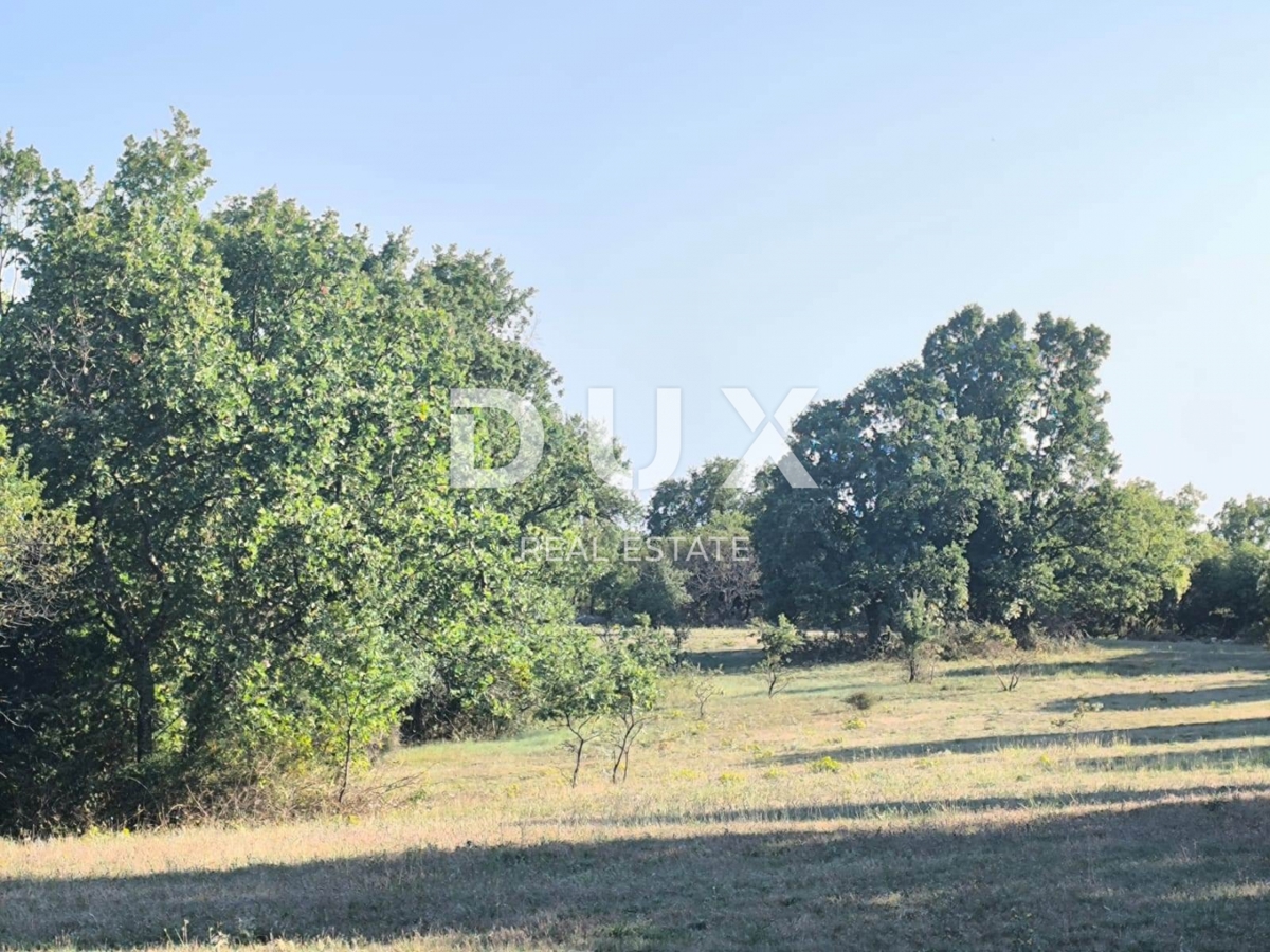 ISTRIA, SVETVINČENAT Terreno agricolo ad uliveto