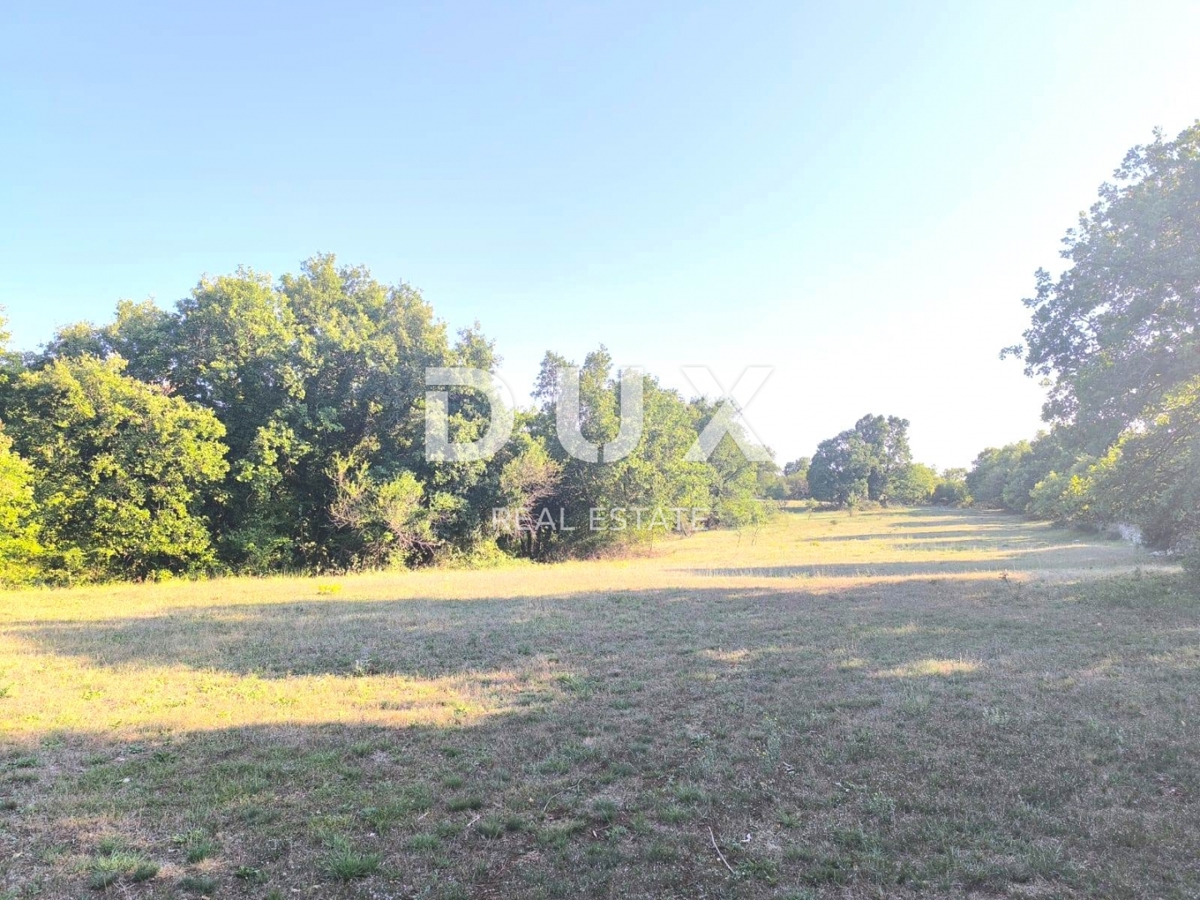 ISTRIA, SVETVINČENAT Terreno agricolo ad uliveto