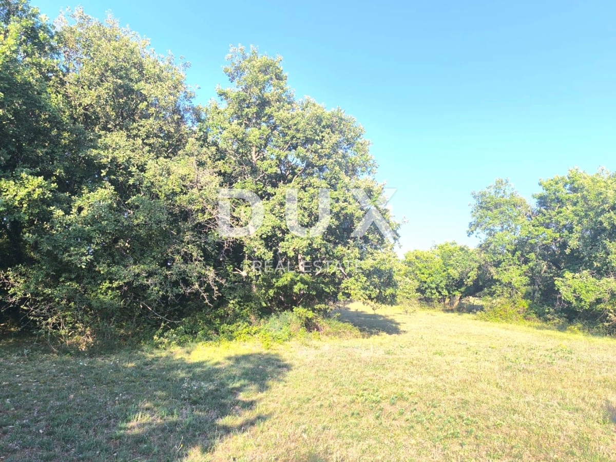 ISTRIA, SVETVINČENAT Terreno agricolo ad uliveto