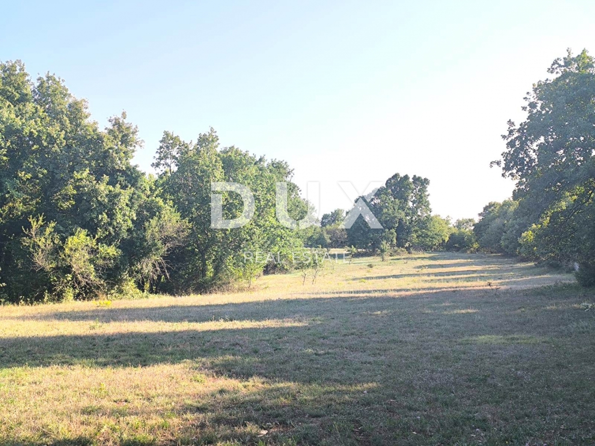 ISTRIA, SVETVINČENAT Terreno agricolo ad uliveto