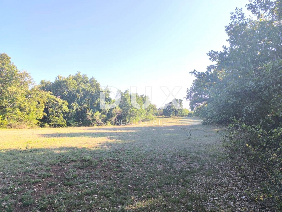 ISTRIA, SVETVINČENAT Terreno agricolo ad uliveto