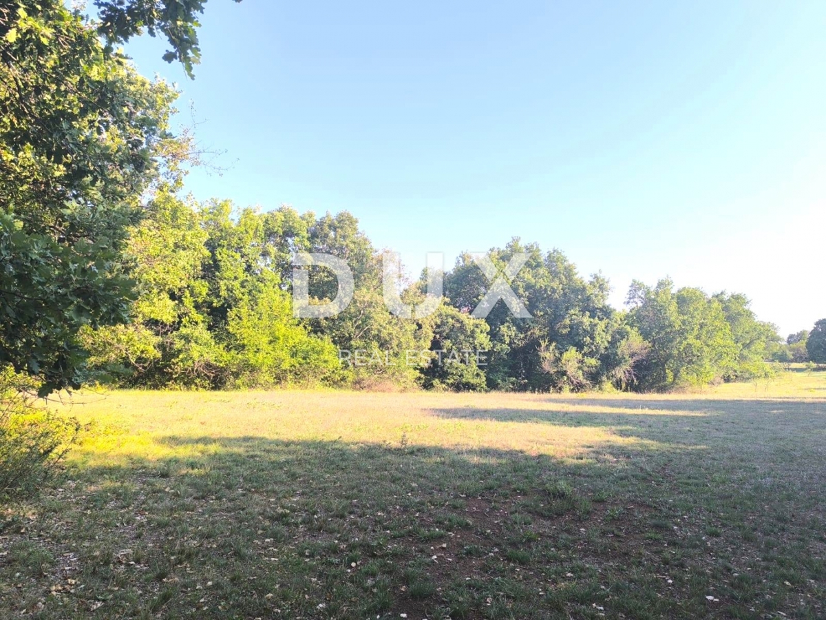 ISTRIA, SVETVINČENAT Terreno agricolo ad uliveto