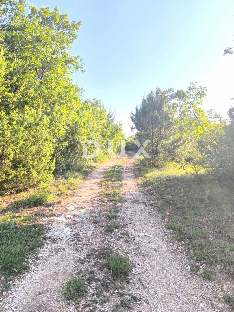 ISTRIA, SVETVINČENAT Terreno agricolo ad uliveto