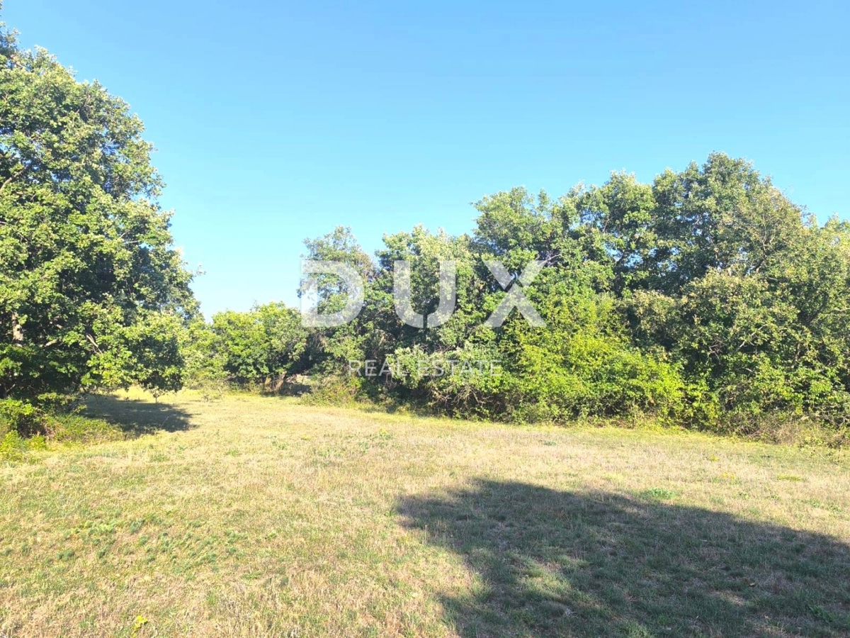 ISTRIA, SVETVINČENAT Terreno agricolo ad uliveto