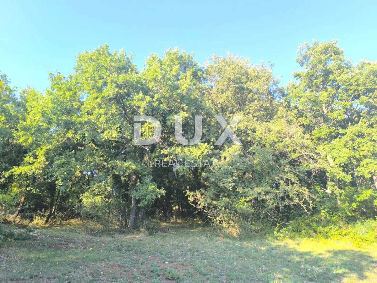 ISTRIA, SVETVINČENAT Terreno agricolo ad uliveto