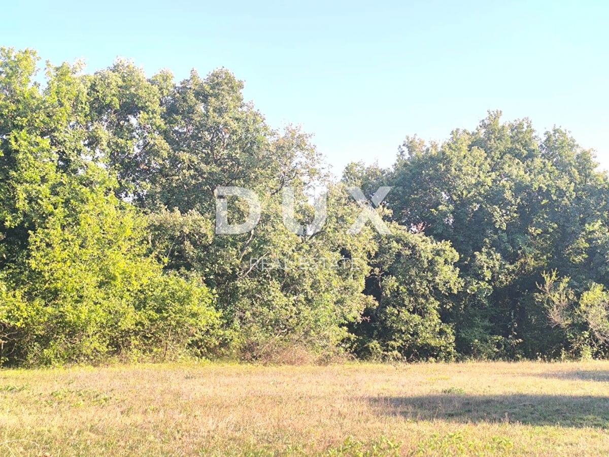 ISTRIA, SVETVINČENAT Terreno agricolo ad uliveto