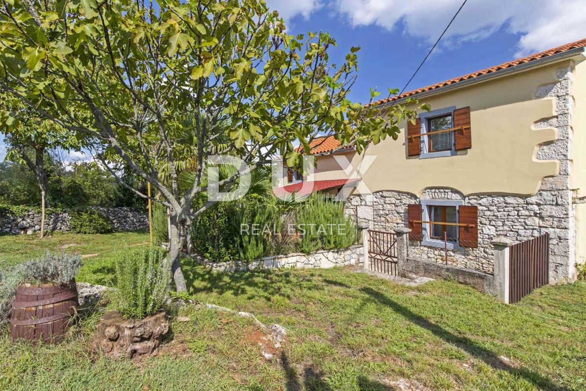 ISTRIA, LABIN - Casa rustica immersa nella natura