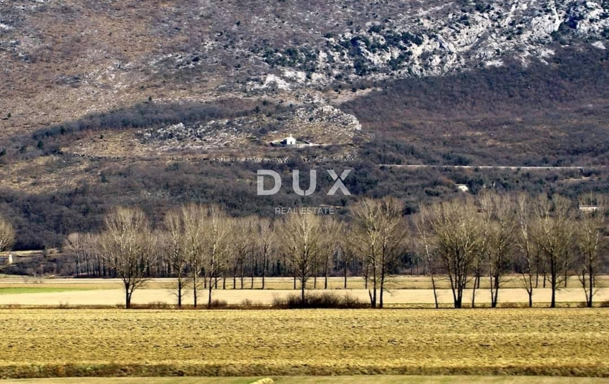 JESENOVIK, KRŠAN - terreno 11500m2 (10000m2 agricoli + 1500m edificabile) con una casa in rovina delimitata e un fienile 