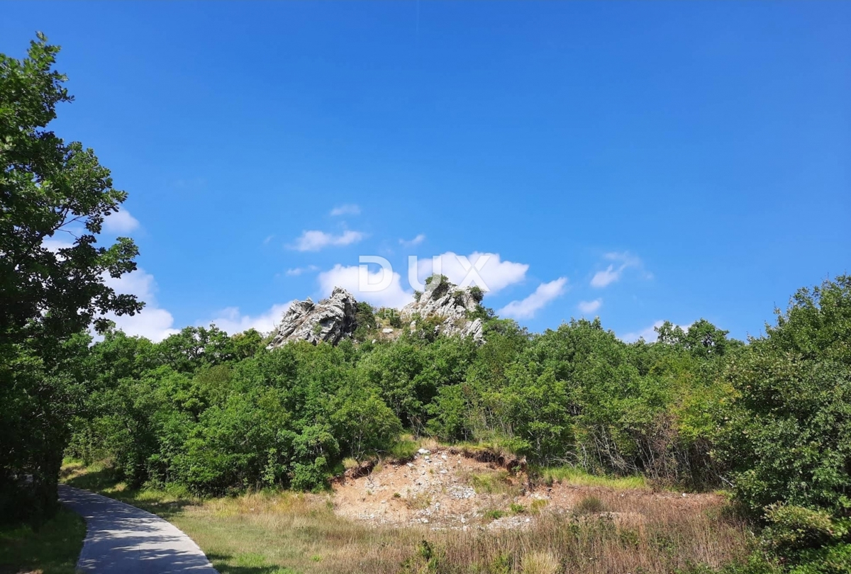 JESENOVIK, KRŠAN - terreno 11500m2 (10000m2 agricoli + 1500m edificabile) con una casa in rovina delimitata e un fienile 