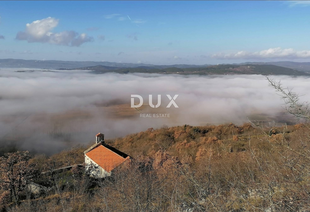 JESENOVIK, KRŠAN - terreno 11500m2 (10000m2 agricoli + 1500m edificabile) con una casa in rovina delimitata e un fienile 