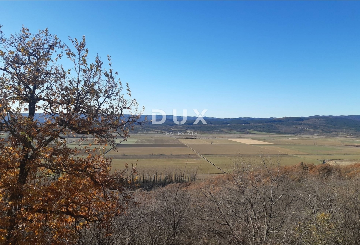 JESENOVIK, KRŠAN - terreno 11500m2 (10000m2 agricoli + 1500m edificabile) con una casa in rovina delimitata e un fienile 