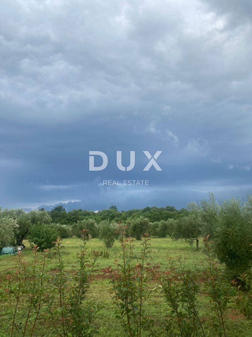 ISTRIA, NOVIGRAD - Casa mediterranea con piscina