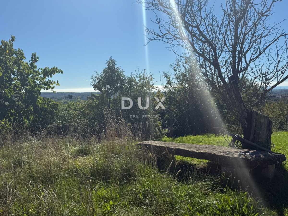 ISTRIA, GROŽNJAN - Autentica casa indipendente in pietra