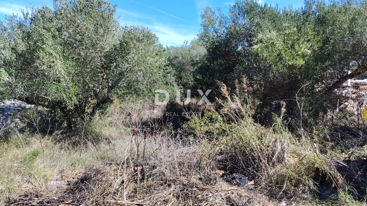 DUGI OTOK, BOŽAVA - OCCASIONE! Terreno edificabile a 130 m dal mare!