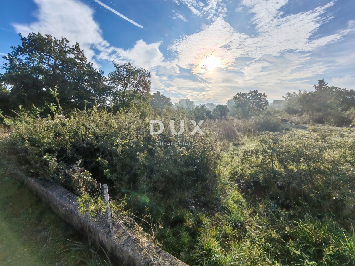 ZADAR, GLAVICA - Terreno edificabile a 7 minuti dalla prima spiaggia!