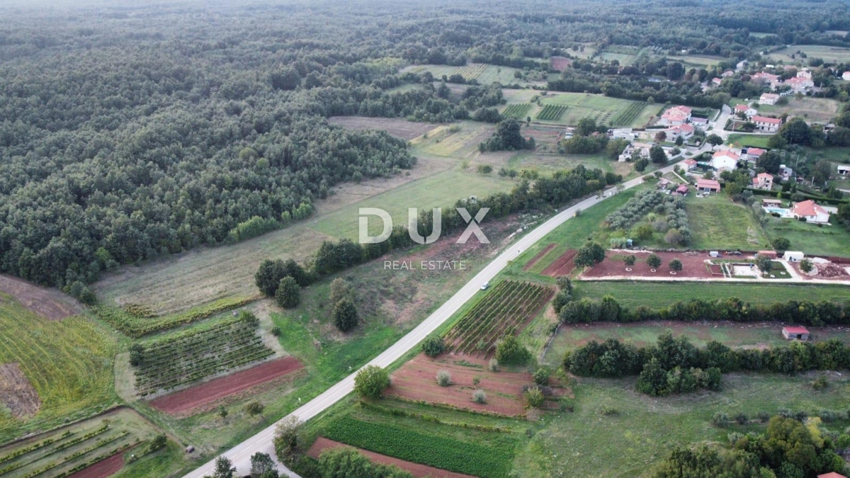 ISTRIA, BARBAN - Terreno edificabile con vista mare! 