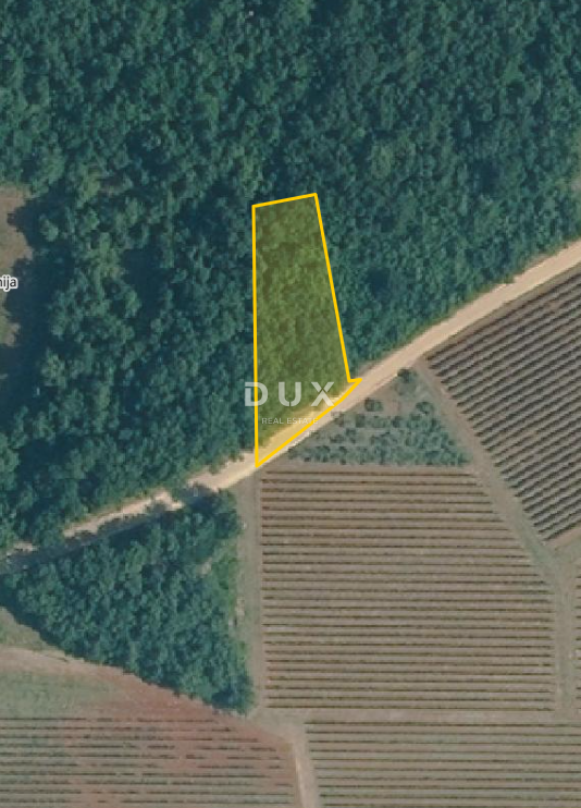 ISTRIA, VIŠNJAN - Terreno agricolo