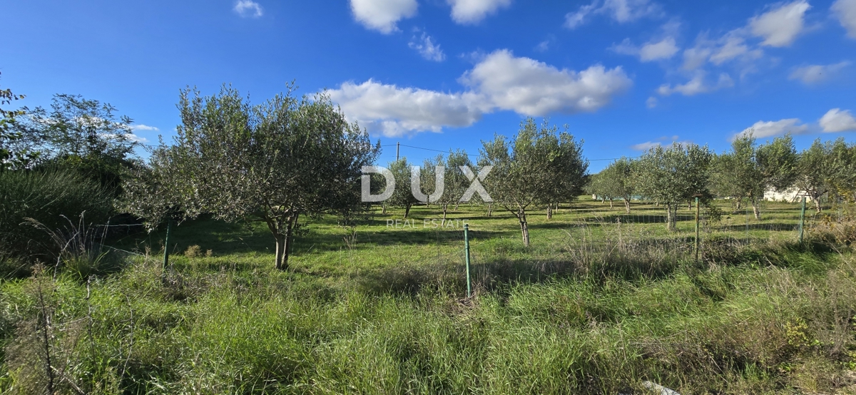 Terreno Poreč, 1.369m2