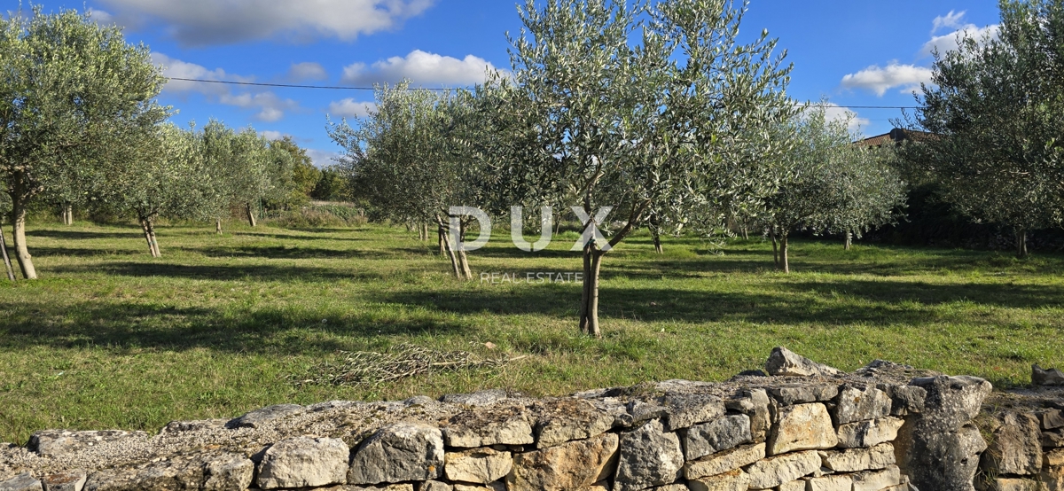 Terreno Poreč, 1.369m2