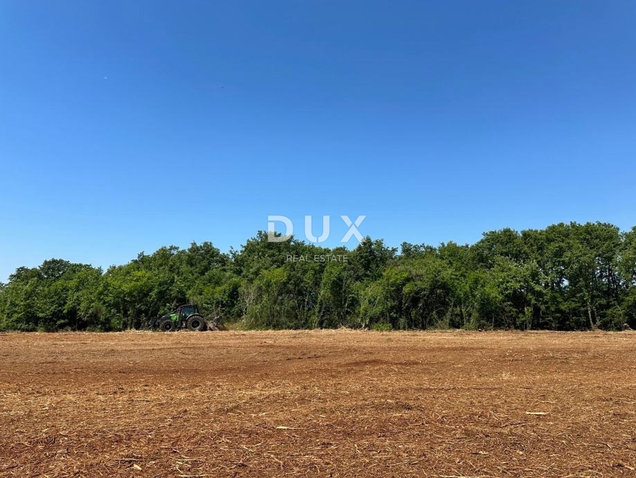 ISTRIA, MUNTIĆ - Ottima opportunità!