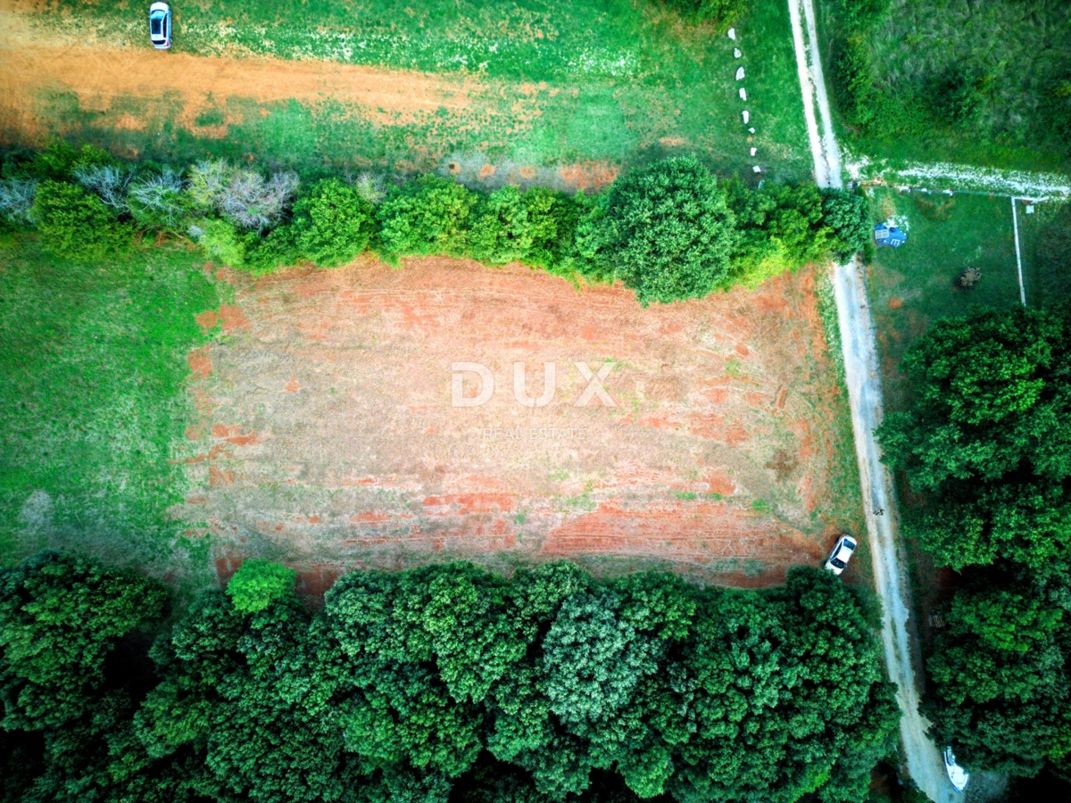 ISTRIA, BALE - Terreno agricolo vicino al mare