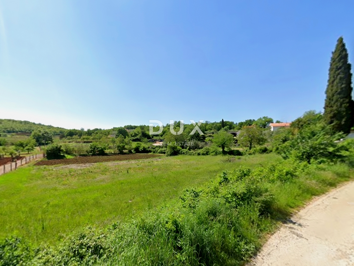 ISTRIA, MONTONA - Terreno con permesso di costruire e progetto interessante