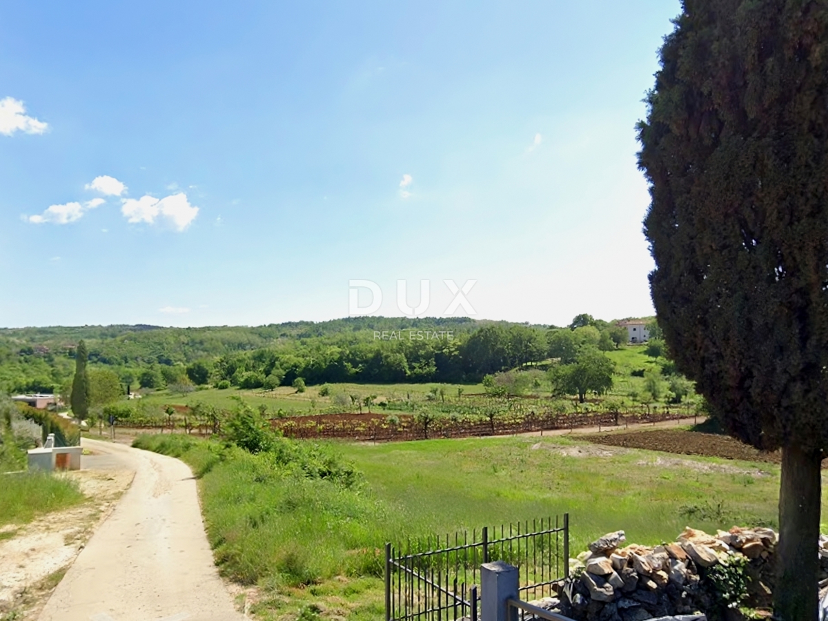 ISTRIA, MONTONA - Terreno con permesso di costruire e progetto interessante