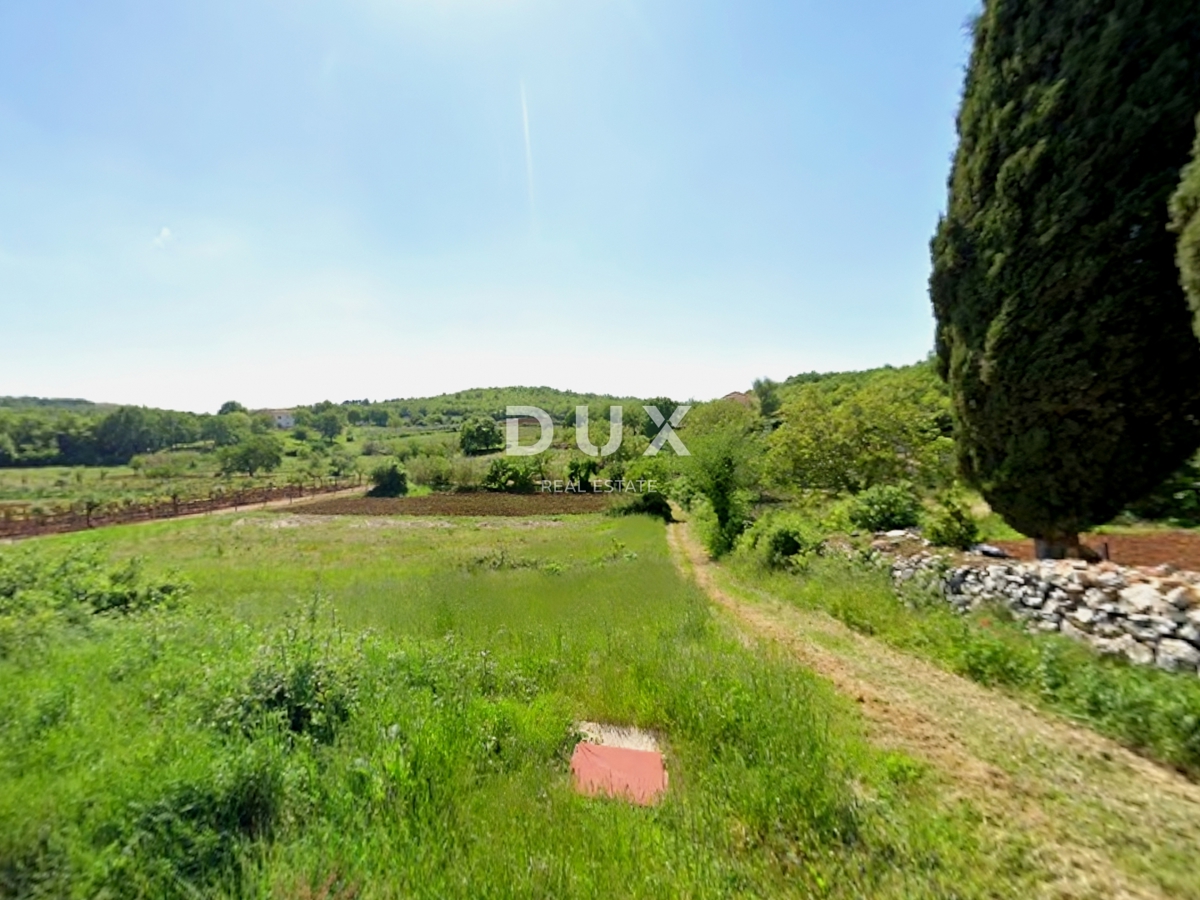 ISTRIA, MONTONA - Terreno con permesso di costruire e progetto interessante