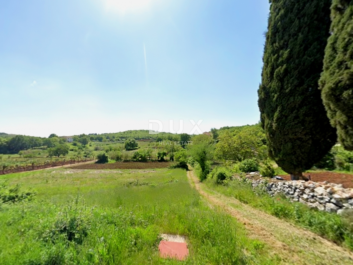 ISTRIA, MONTONA - Terreno con permesso di costruire e progetto interessante