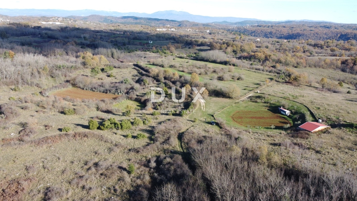 ISTRIA, TRVIŽ - Ottima opportunità agricola