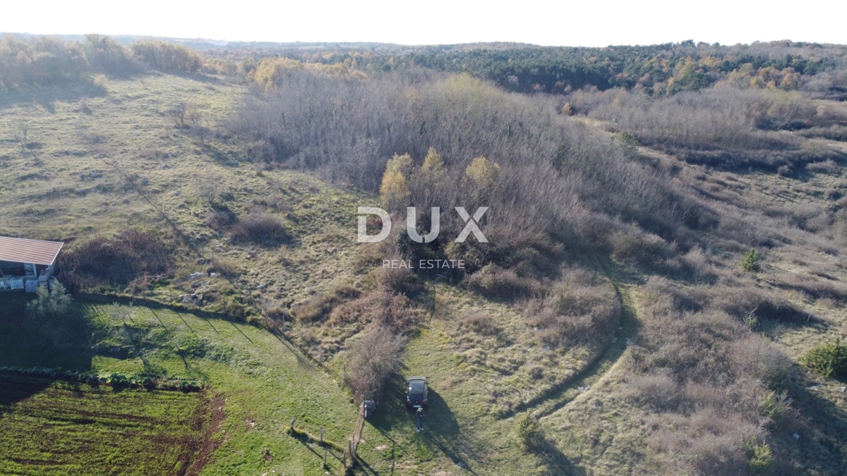 ISTRIA, TRVIŽ - Ottima opportunità agricola