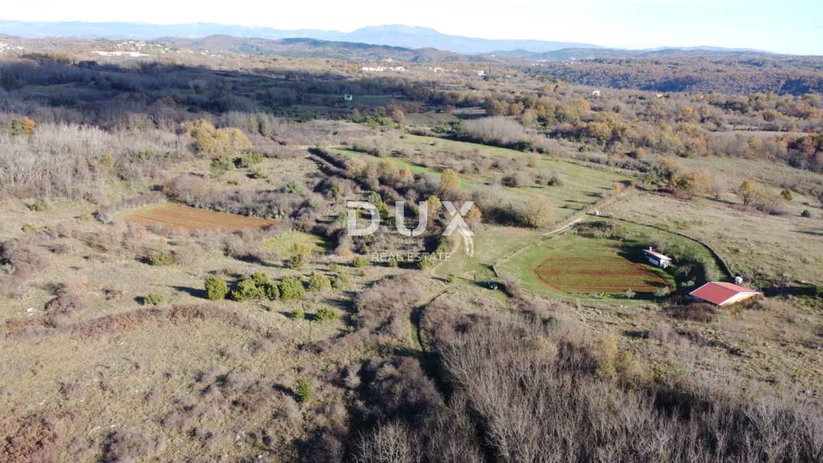 ISTRIA, TRVIŽ - Ottima opportunità agricola