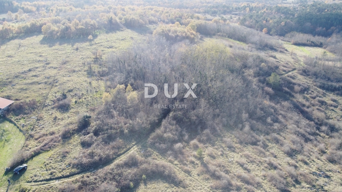 ISTRIA, TRVIŽ - Ottima opportunità agricola