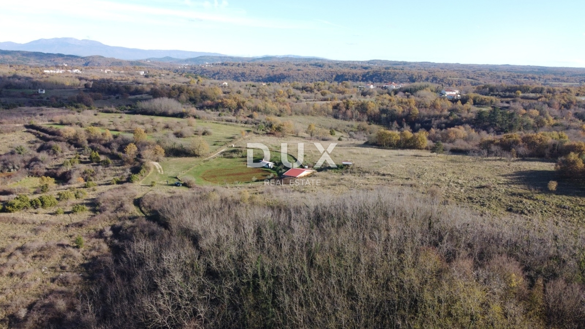 ISTRIA, TRVIŽ - Ottima opportunità agricola